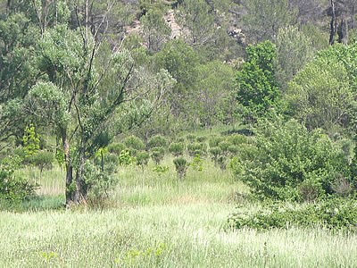    Petite histoire de l'&eacute;t&eacute;